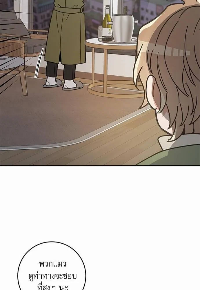 My One and Only Cat ตอนที่ 3042 My One and Only Cat ตอนที่ 3042