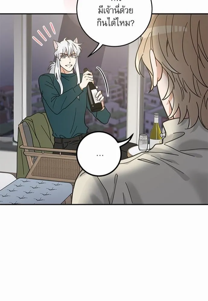 My One and Only Cat ตอนที่ 3045 My One and Only Cat ตอนที่ 3045