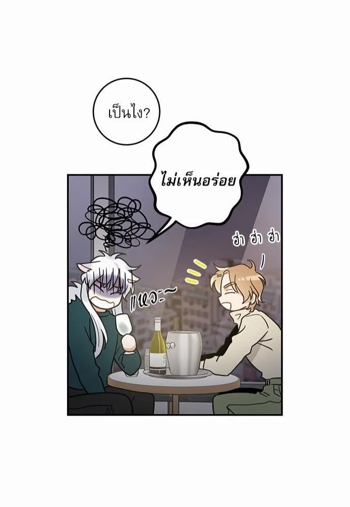 My One and Only Cat ตอนที่ 3051 My One and Only Cat ตอนที่ 3051