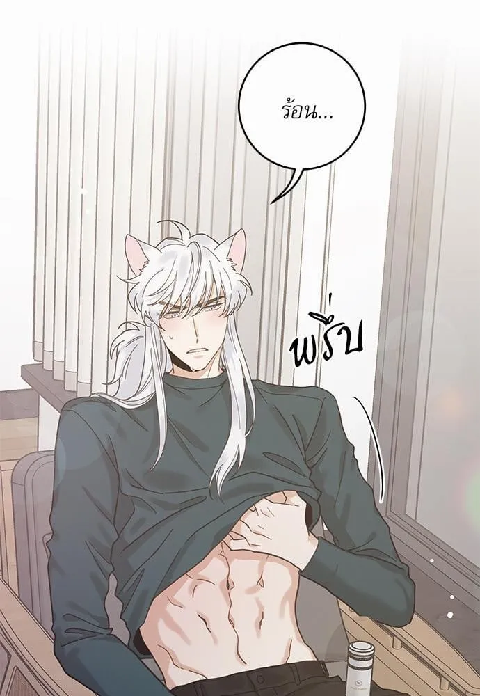 My One and Only Cat ตอนที่ 3053 My One and Only Cat ตอนที่ 3053