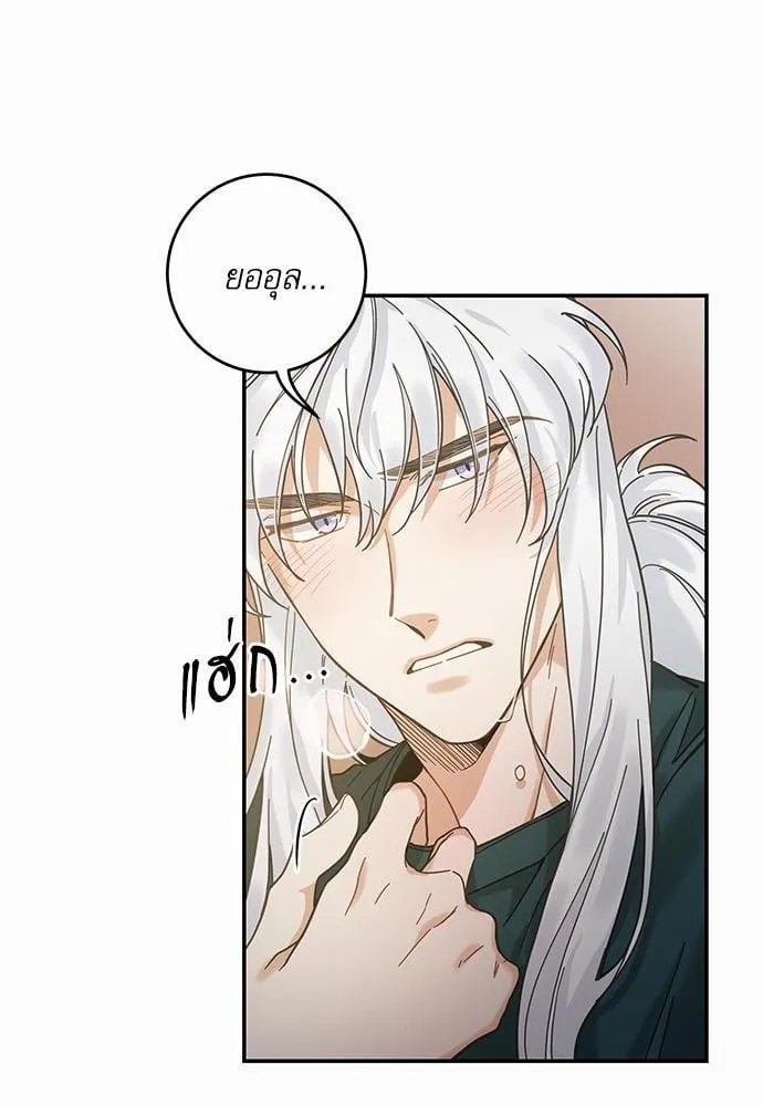 My One and Only Cat ตอนที่ 3056 My One and Only Cat ตอนที่ 3056