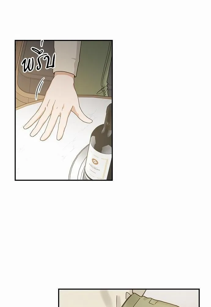 My One and Only Cat ตอนที่ 3058 My One and Only Cat ตอนที่ 3058