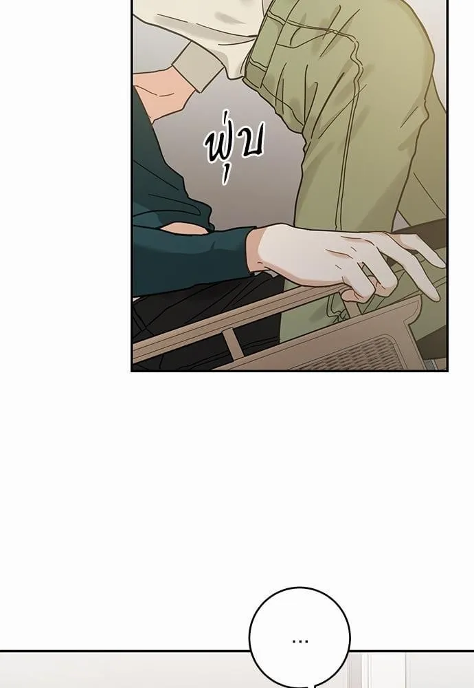 My One and Only Cat ตอนที่ 3059 My One and Only Cat ตอนที่ 3059