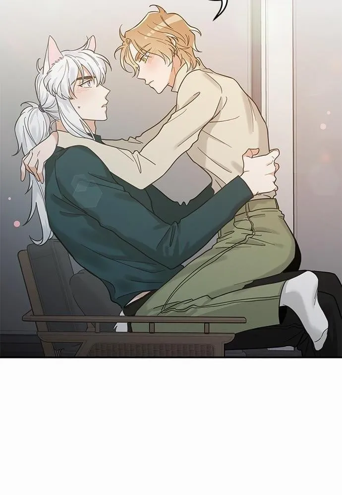 My One and Only Cat ตอนที่ 3060 My One and Only Cat ตอนที่ 3060