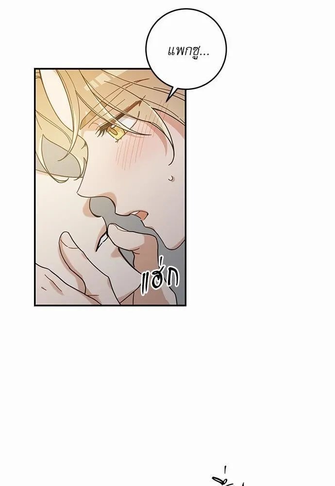 My One and Only Cat ตอนที่ 3061 My One and Only Cat ตอนที่ 3061