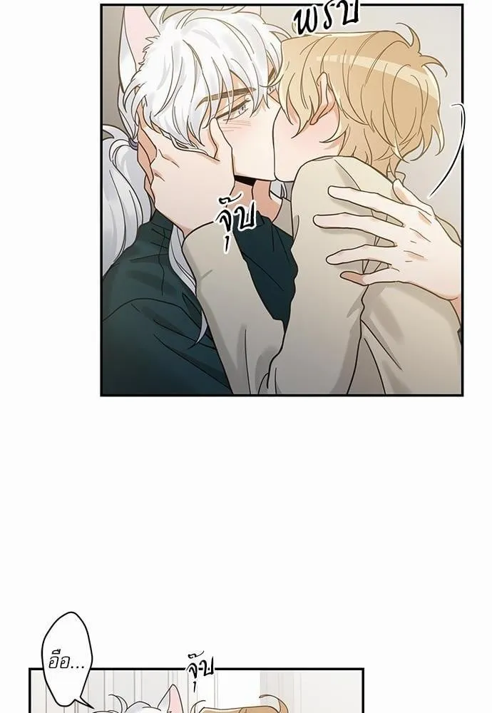 My One and Only Cat ตอนที่ 3062 My One and Only Cat ตอนที่ 3062