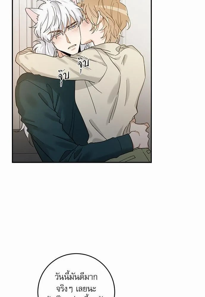 My One and Only Cat ตอนที่ 3063 My One and Only Cat ตอนที่ 3063