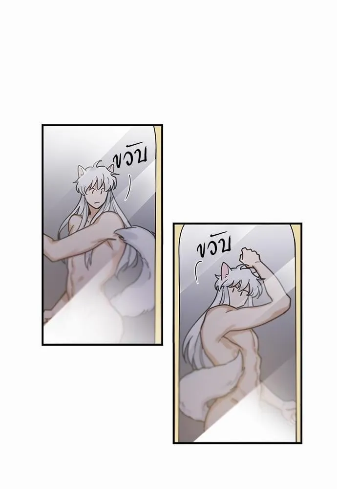 My One and Only Cat ตอนที่ 308 My One and Only Cat ตอนที่ 308