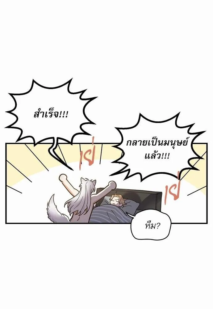 My One and Only Cat ตอนที่ 310 My One and Only Cat ตอนที่ 310