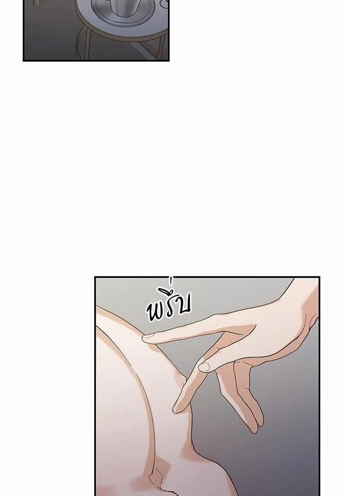 My One and Only Cat ตอนที่ 3102