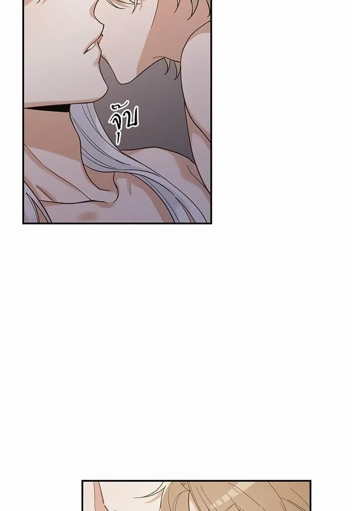 My One and Only Cat ตอนที่ 3108