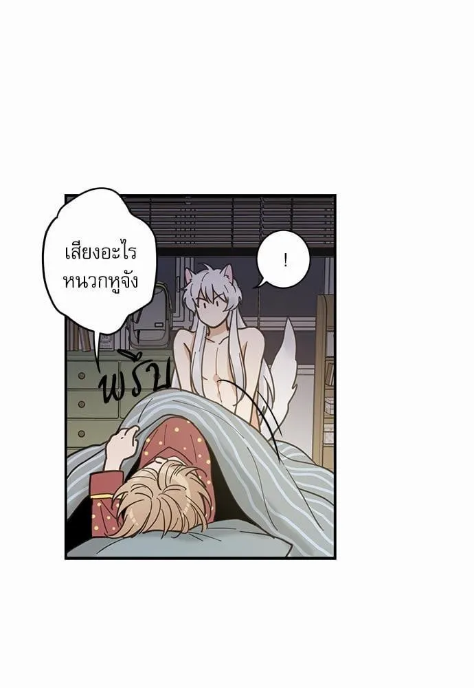 My One and Only Cat ตอนที่ 311 My One and Only Cat ตอนที่ 311