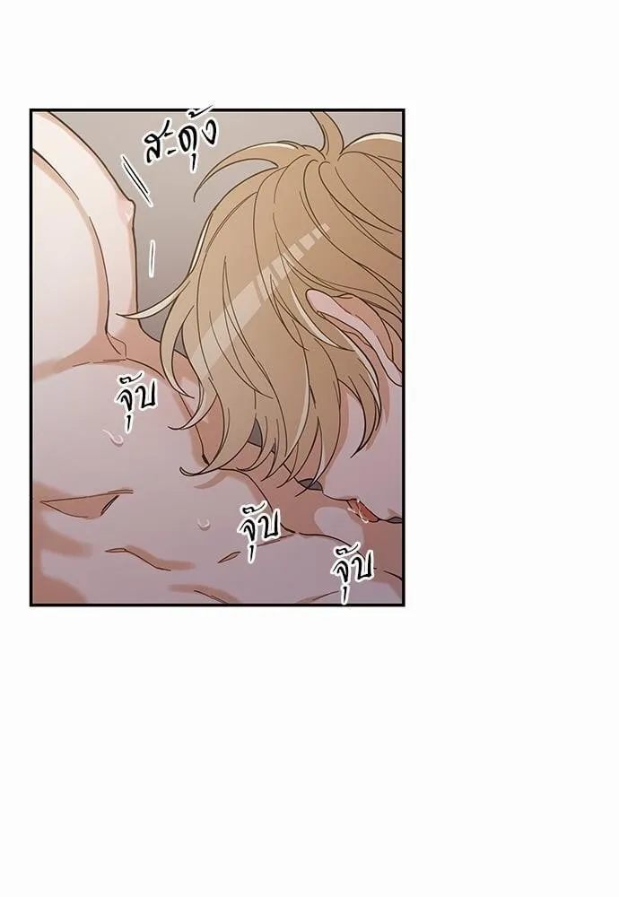 My One and Only Cat ตอนที่ 3111