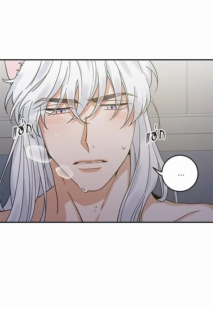 My One and Only Cat ตอนที่ 3112