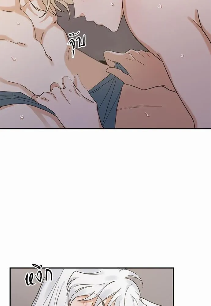 My One and Only Cat ตอนที่ 3116