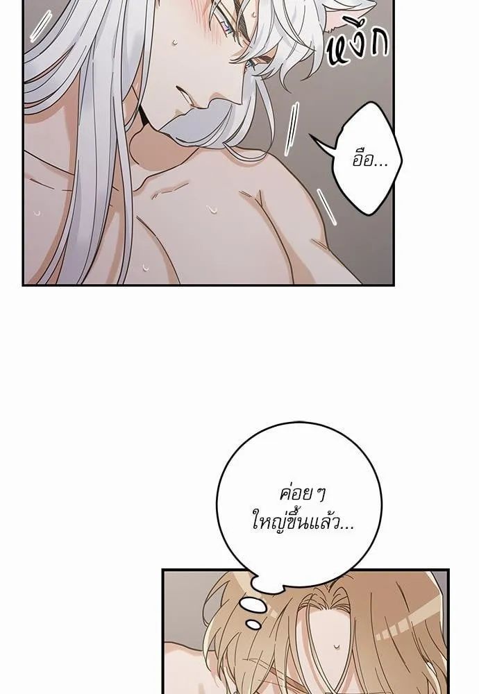 My One and Only Cat ตอนที่ 3117