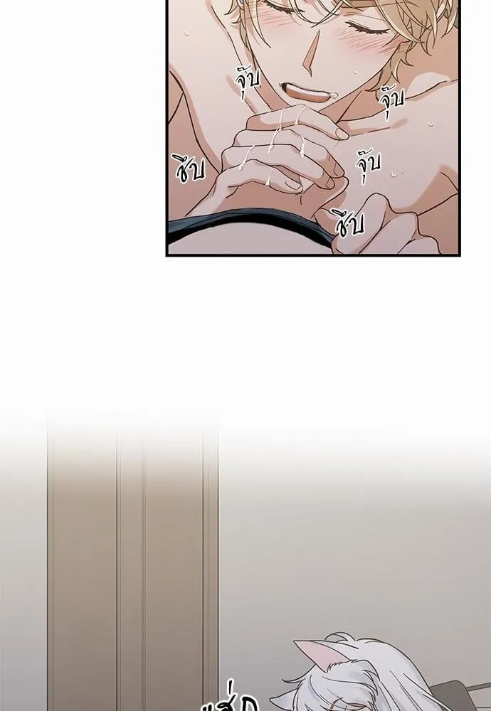 My One and Only Cat ตอนที่ 3118