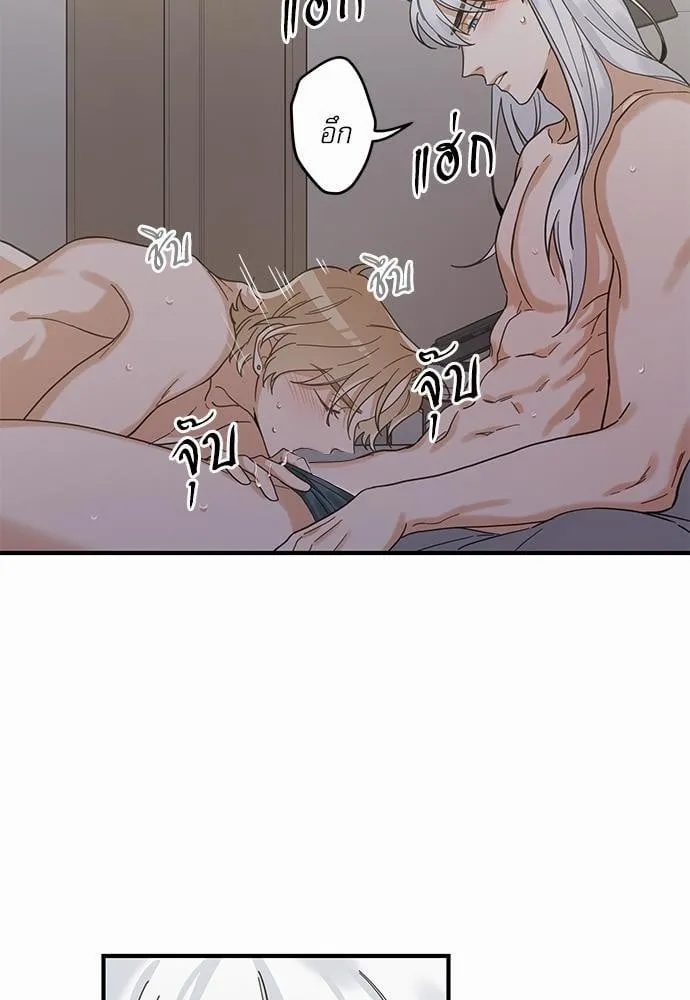 My One and Only Cat ตอนที่ 3119