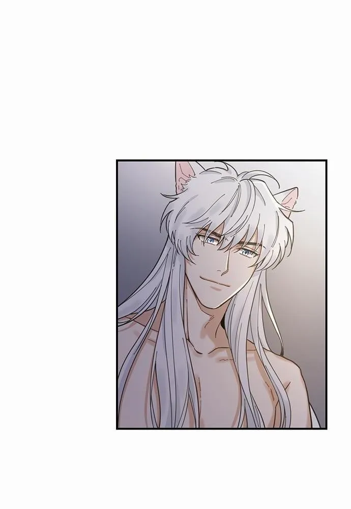 My One and Only Cat ตอนที่ 312 My One and Only Cat ตอนที่ 312