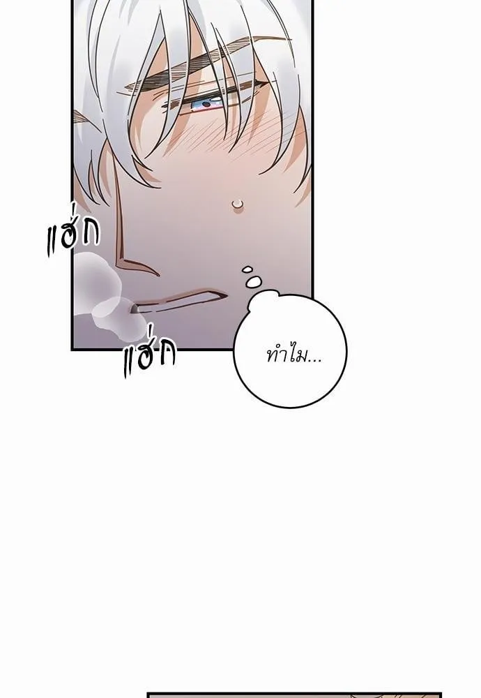 My One and Only Cat ตอนที่ 3120