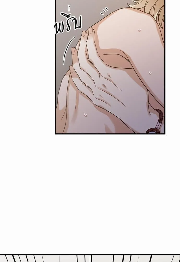 My One and Only Cat ตอนที่ 3121