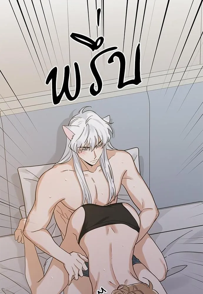 My One and Only Cat ตอนที่ 3122