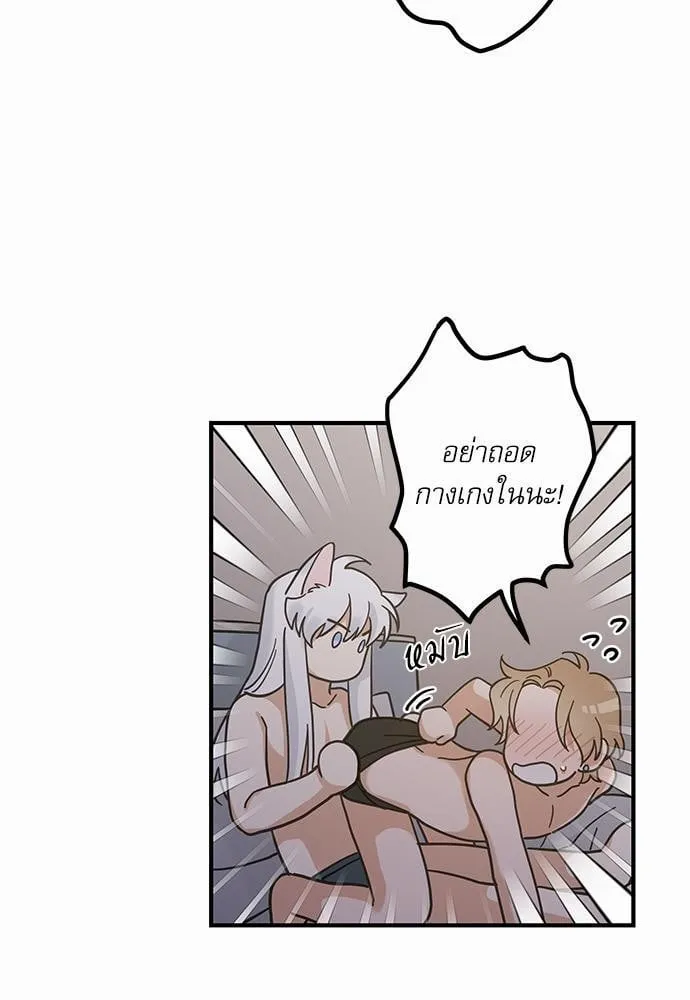 My One and Only Cat ตอนที่ 3127