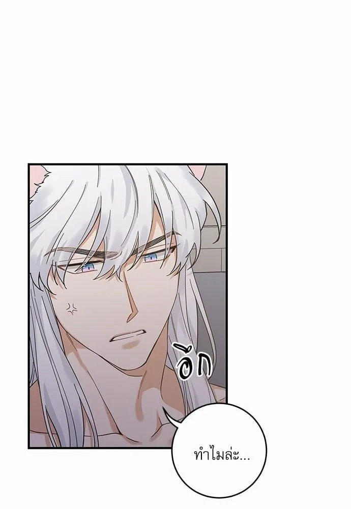 My One and Only Cat ตอนที่ 3128