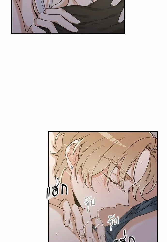 My One and Only Cat ตอนที่ 3131