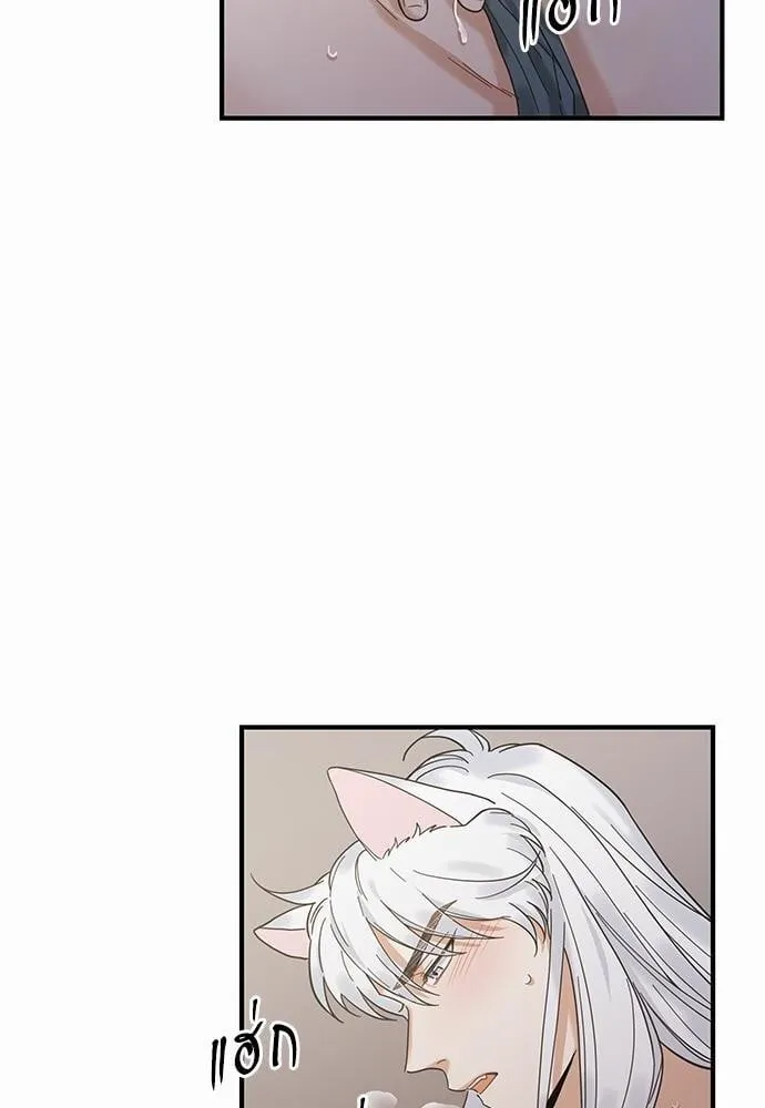 My One and Only Cat ตอนที่ 3132