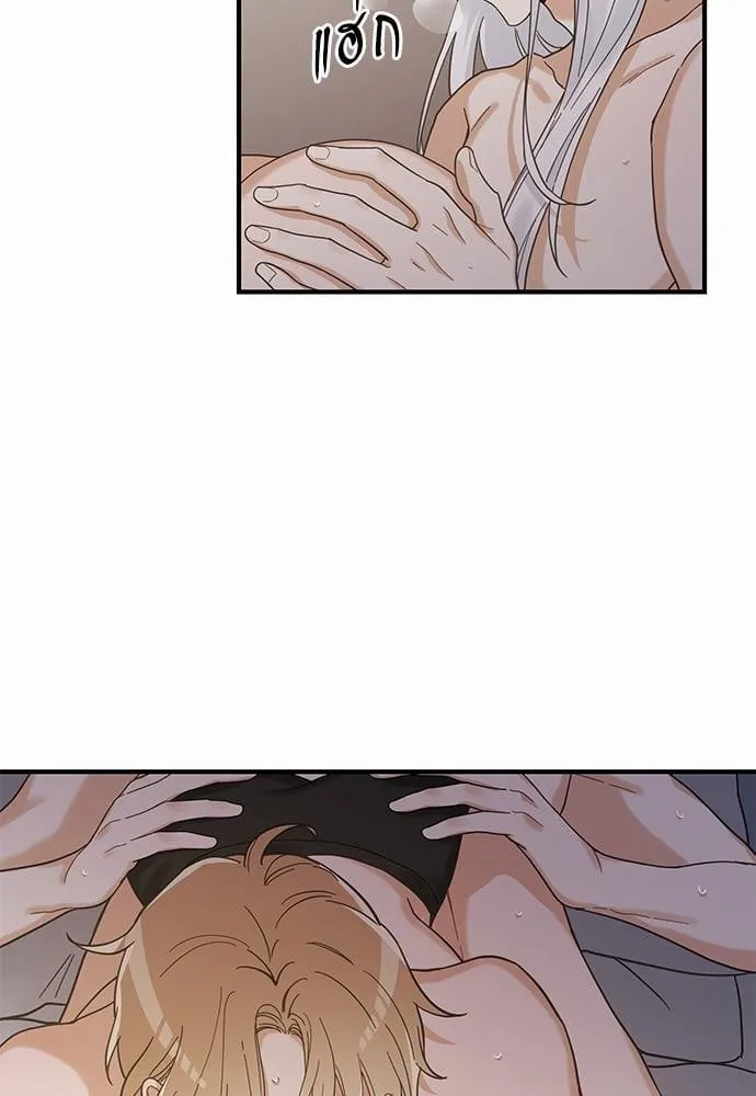 My One and Only Cat ตอนที่ 3133