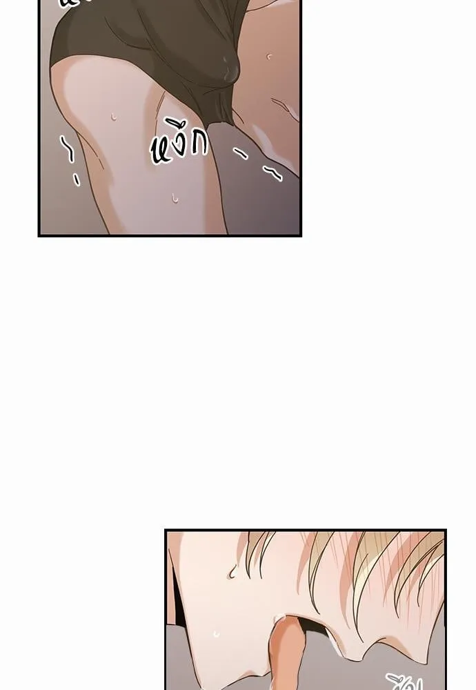 My One and Only Cat ตอนที่ 3135