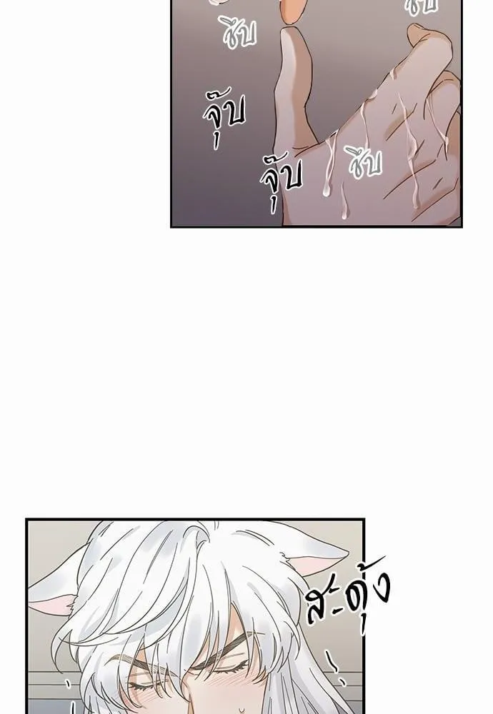 My One and Only Cat ตอนที่ 3136