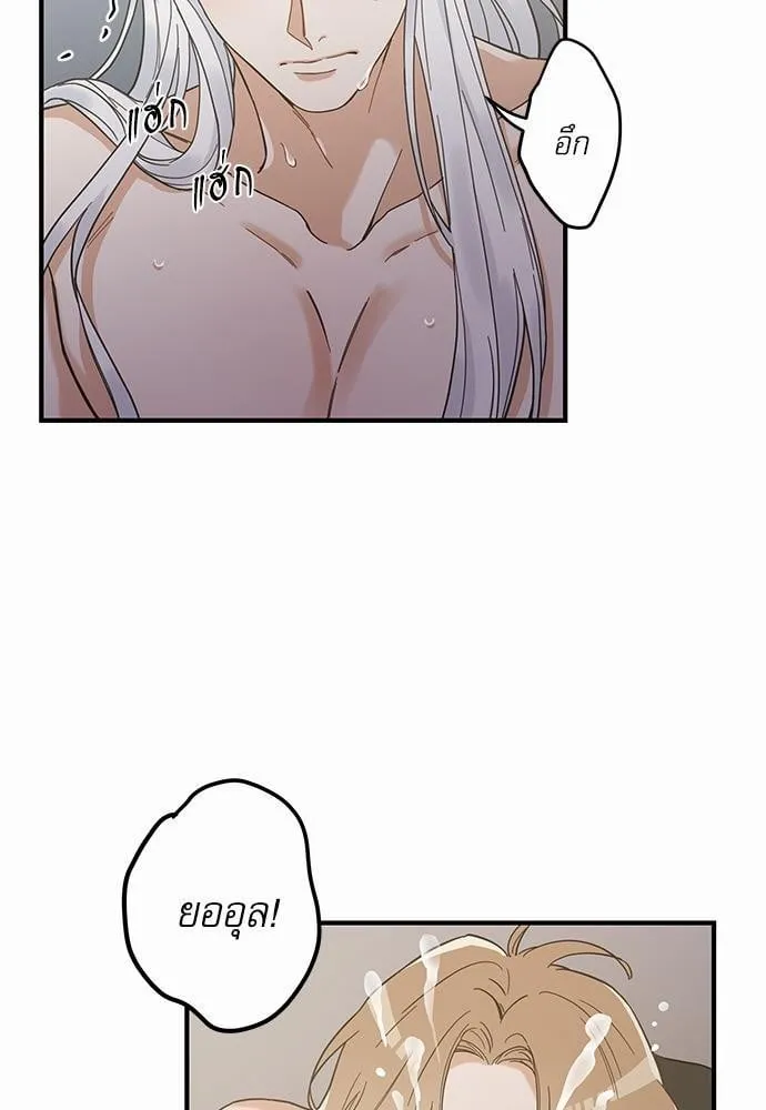 My One and Only Cat ตอนที่ 3137