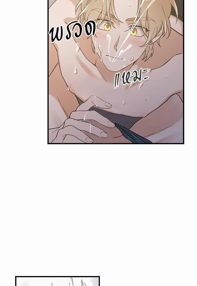 My One and Only Cat ตอนที่ 3138