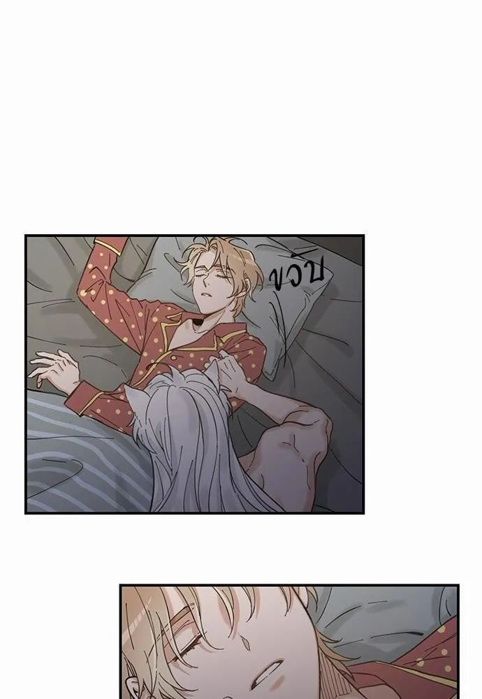 My One and Only Cat ตอนที่ 314 My One and Only Cat ตอนที่ 314