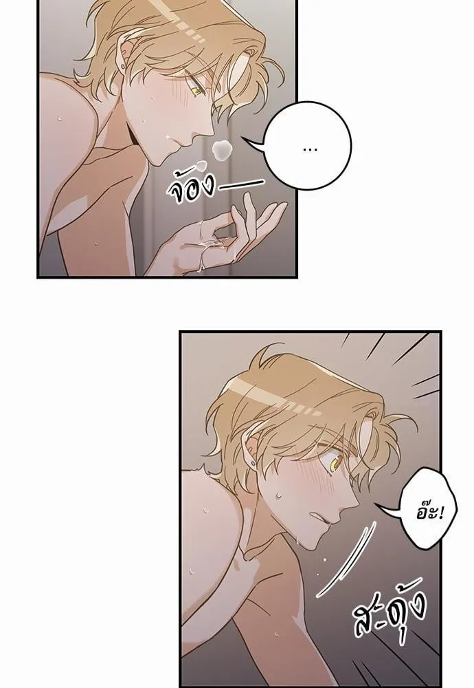 My One and Only Cat ตอนที่ 3141