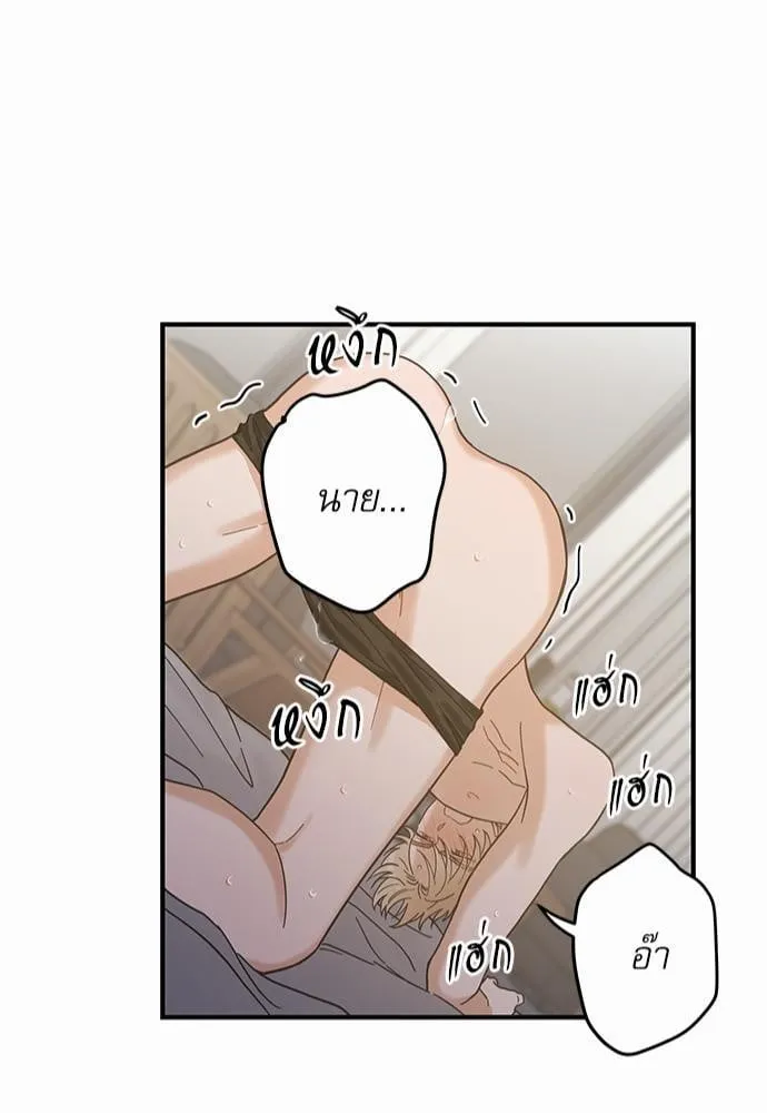 My One and Only Cat ตอนที่ 3143