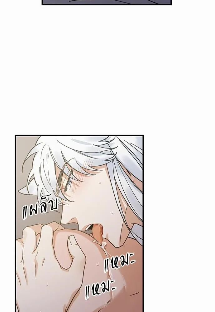 My One and Only Cat ตอนที่ 3146