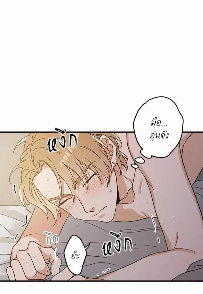 My One and Only Cat ตอนที่ 3148