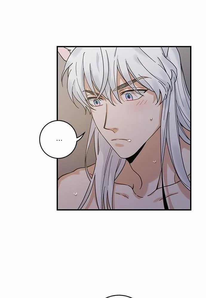 My One and Only Cat ตอนที่ 3150