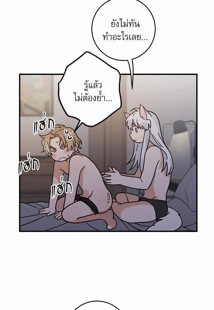 My One and Only Cat ตอนที่ 3151