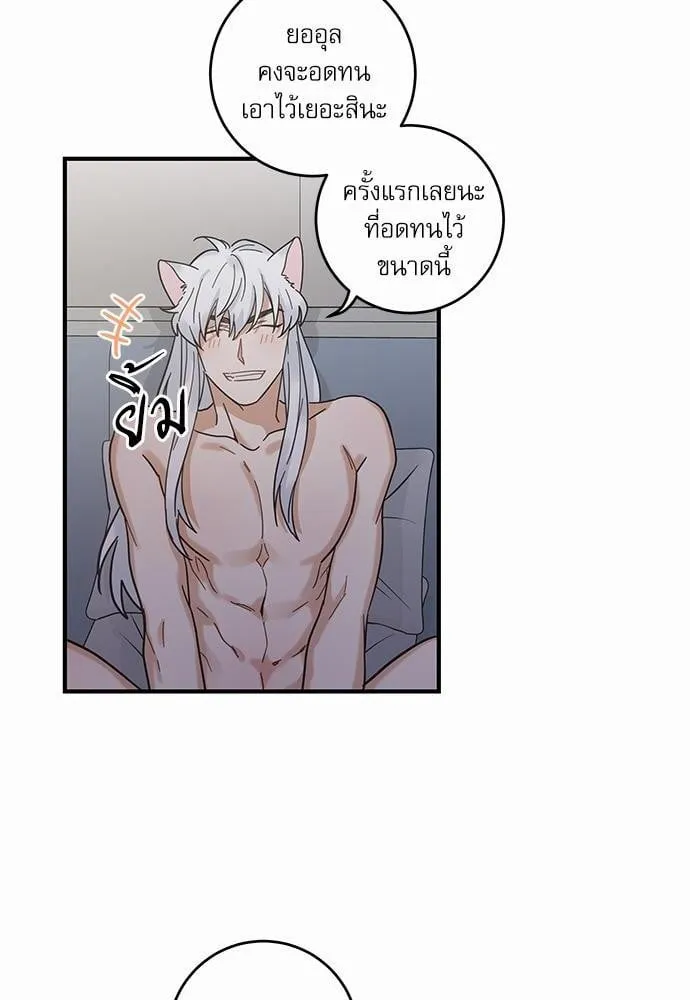 My One and Only Cat ตอนที่ 3152