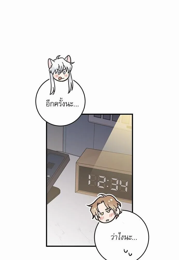 My One and Only Cat ตอนที่ 3158