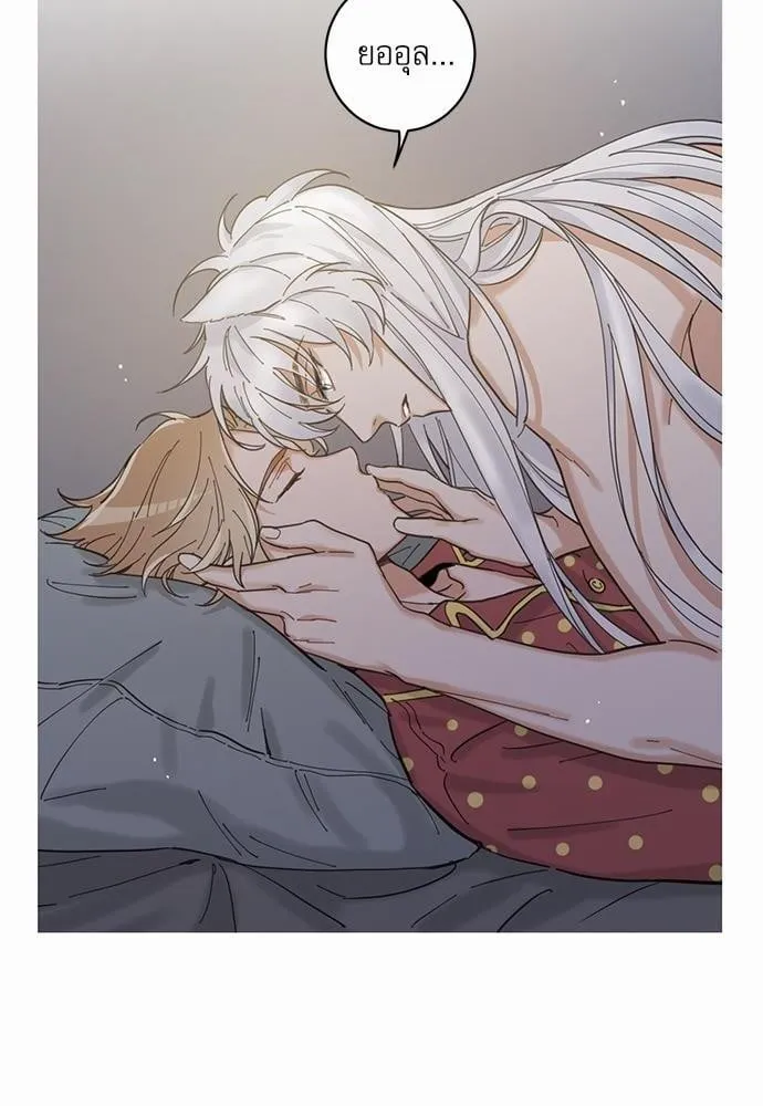 My One and Only Cat ตอนที่ 316 My One and Only Cat ตอนที่ 316