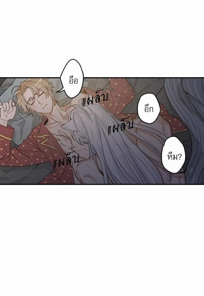 My One and Only Cat ตอนที่ 320 My One and Only Cat ตอนที่ 320