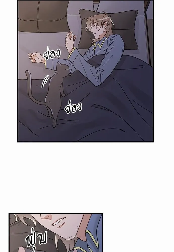 My One and Only Cat ตอนที่ 3205