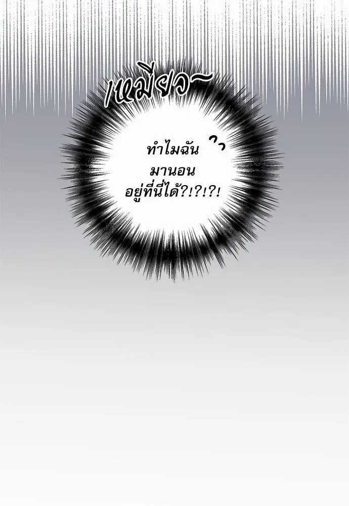 My One and Only Cat ตอนที่ 3208