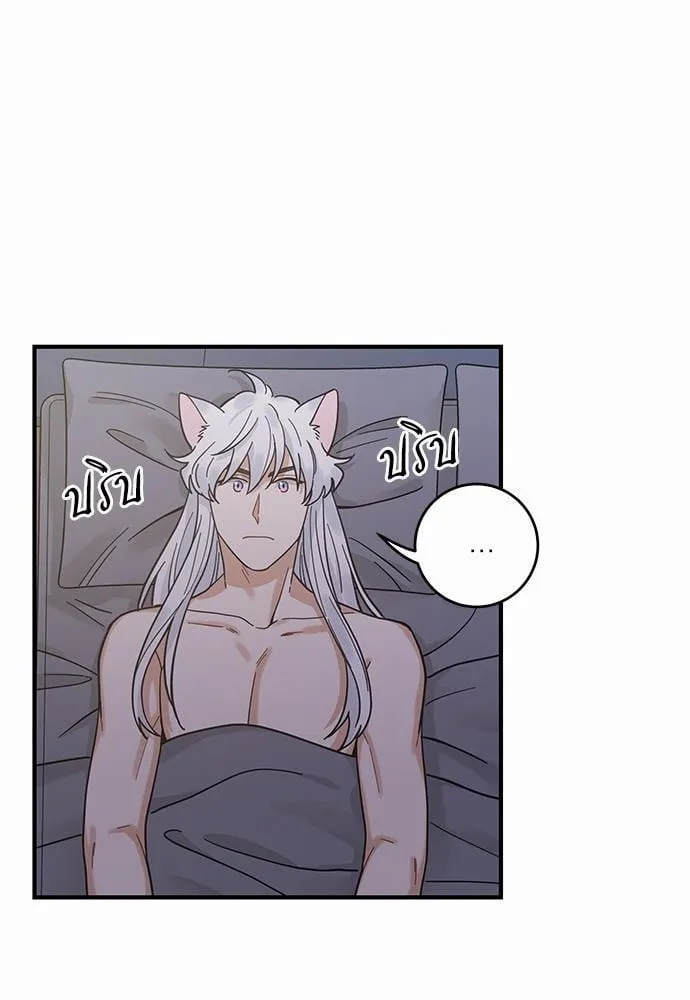 My One and Only Cat ตอนที่ 3211