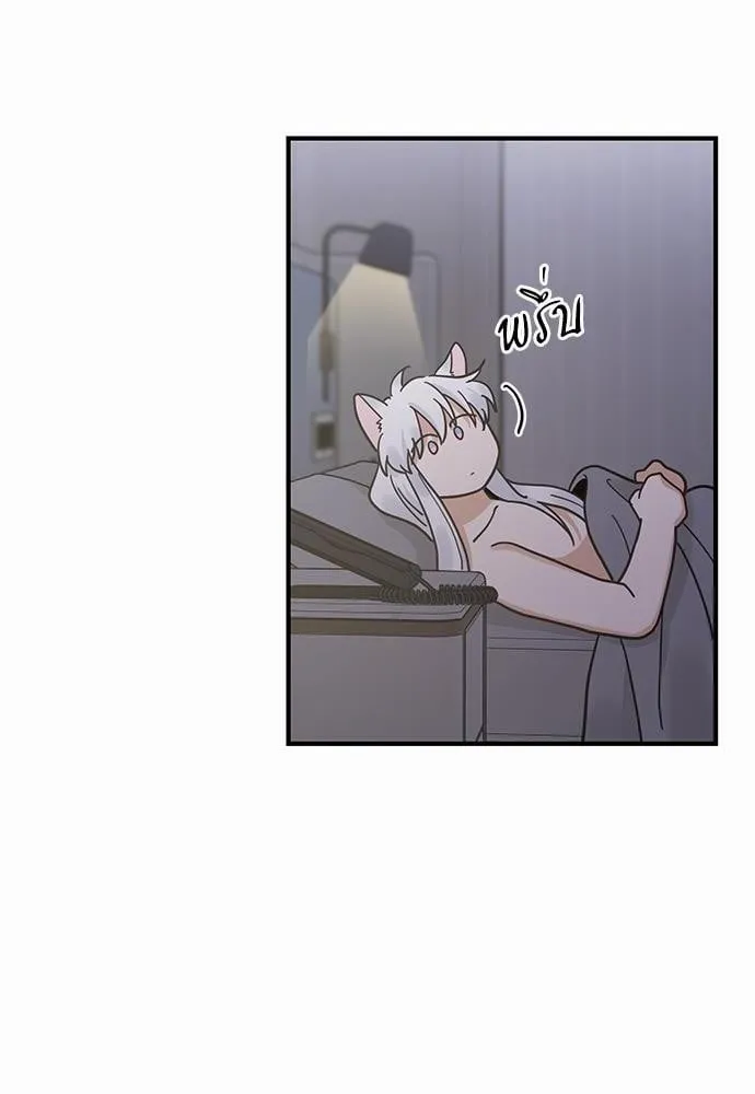 My One and Only Cat ตอนที่ 3212